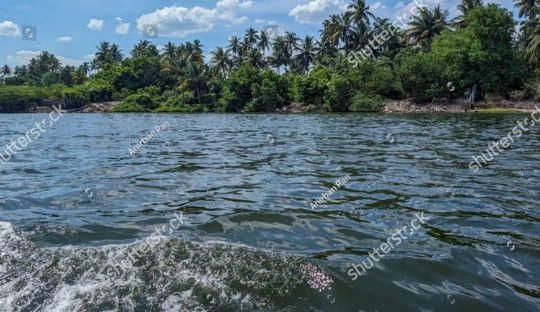 Chunnambar backwater in pondicherry