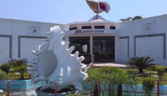 India SeaShell Museum Mahabalipuram